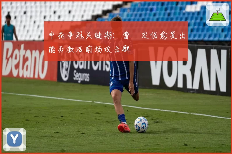 申花争冠关键期:曹赟定伤愈复出能否激活前场攻击群