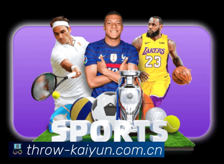 结构优化认证展示